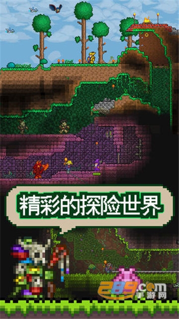 Terraria泰拉瑞亚1.4pe汉化测试版v1.0安卓版