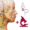 解剖和生理学app安卓破解版v6.2破解版