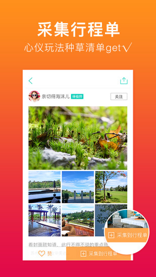 彩贝壳APP