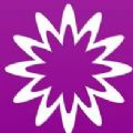 MathStudio Express汉化破解版最新安卓版v6.0.5破解版