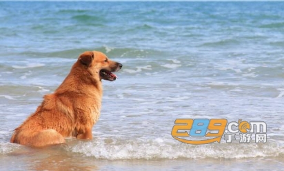 浪花旅行约会软件下载app最新版 浪花旅行约会软件下载app最新版