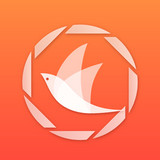 飞鸟浏览器APP