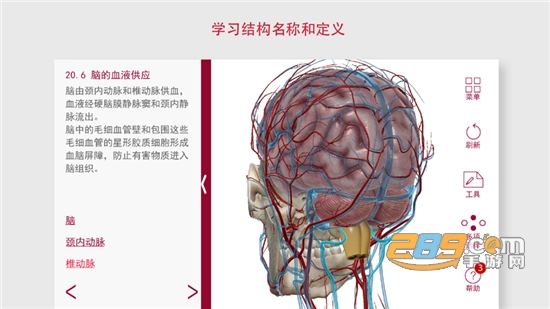 解剖和生理学app安卓破解版v6.2破解版