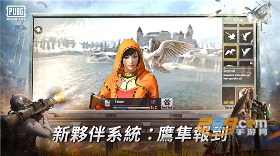 绝地求生轻量版手游0.19.0