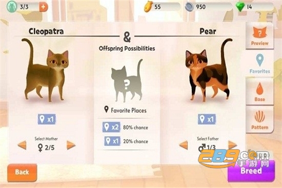 我的猫舍中文破解版