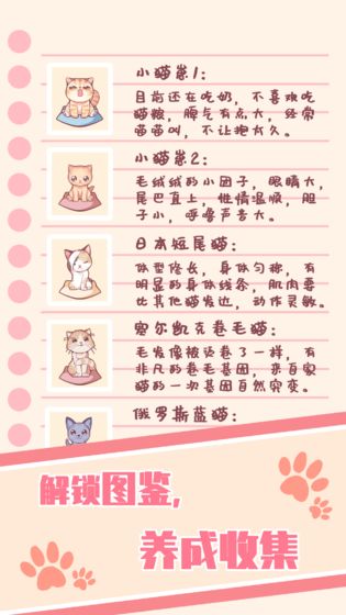 猫咪养成最新版