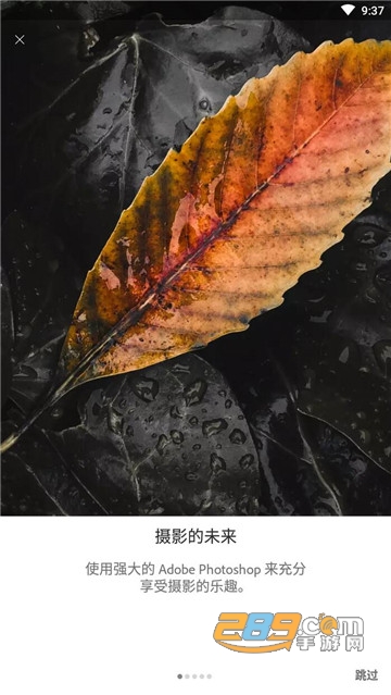 lightroom破解版中文版v5.6最新版