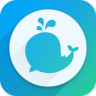 Live LancherAPP