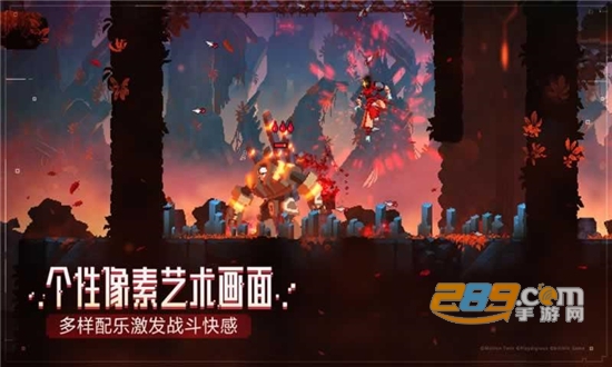 Deadcells(死亡细胞汉化版安卓免费破解版)v1.0.9汉化版