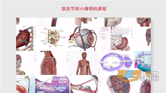 解剖和生理学app安卓破解版v6.2破解版