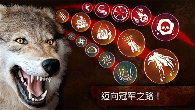 The Wolf安装器 The Wolf安装器