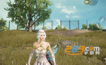 吃鸡优化器2021最新版 吃鸡优化器2021最新版