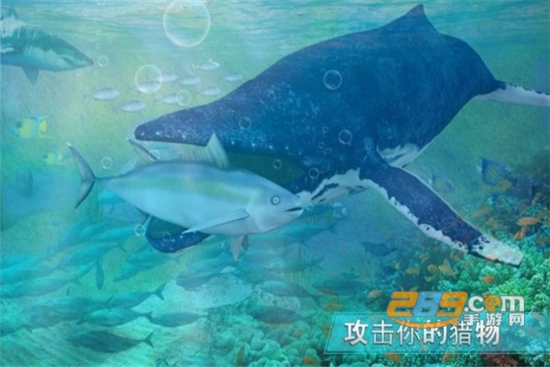 全民养鲨鱼手机版v1.0.0