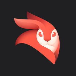 Enlight VideoleapAPP