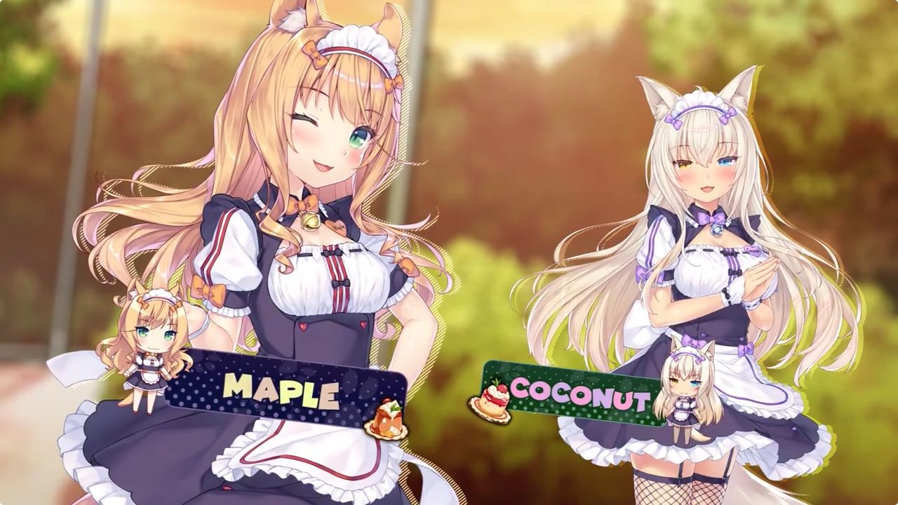猫娘乐园来店