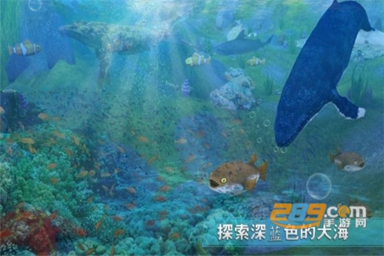 全民养鲨鱼手机版v1.0.0