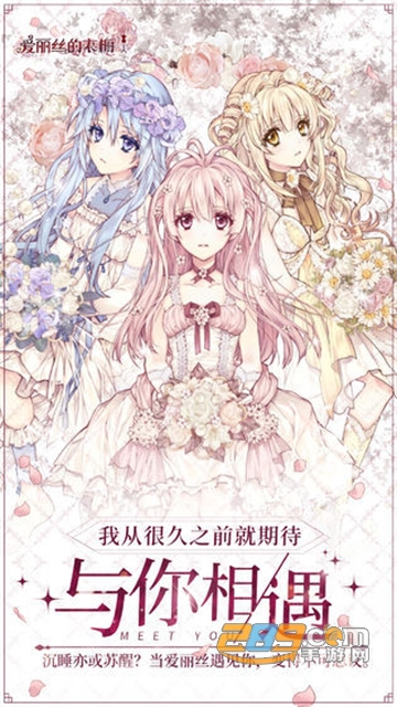 Alice Closet(爱丽丝的衣橱日服免登录破解版中文安卓版)v1.0.831中文版