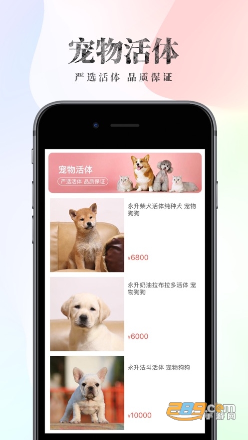 波奇宠物神奇黑卡VIP破解版v4.5.7