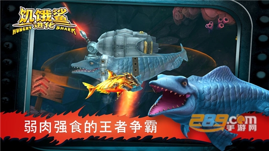 饥饿鲨进化礁鲨贝壳位置完整图鉴攻略版v5.2.0.0最新版