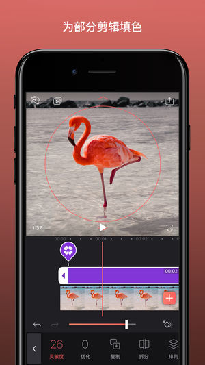 Enlight VideoleapAPP