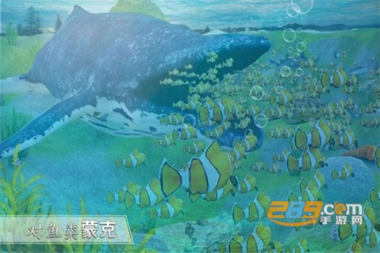 全民养鲨鱼手机版 全民养鲨鱼手机版