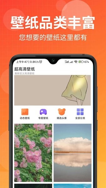 壁纸盒子纯净版下载安装