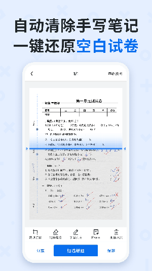 蜜蜂试卷