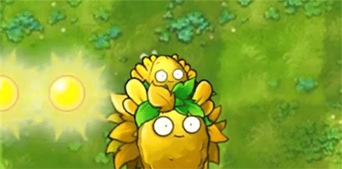 究极植物配图2