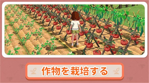 小森生活安卓版