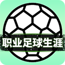 职业足球生涯折相思