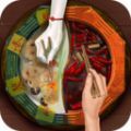 阴阳锅最新版