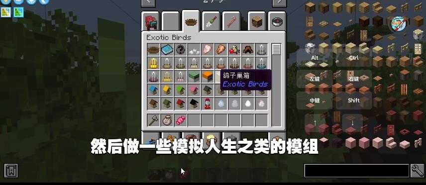 我的世界自然之旅
