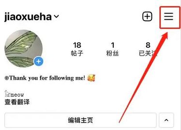 Instagram中文版 Instagram中文版