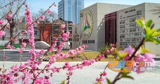 中国传媒大学app官方版 中国传媒大学app官方版