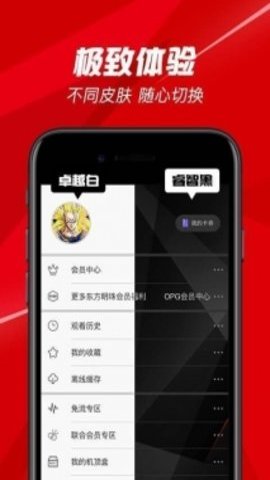 百视tv