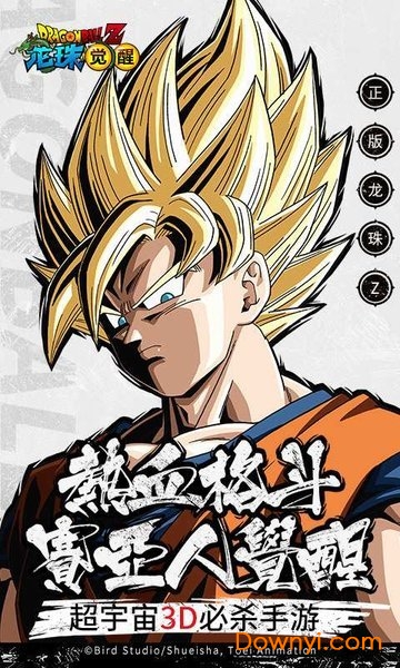 龙珠觉醒微信登录版