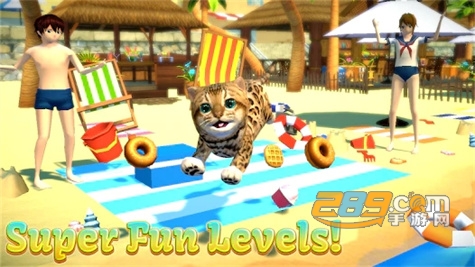 猫咪模拟器无限金币无限钻石版2022最新版v4.80最新破解版