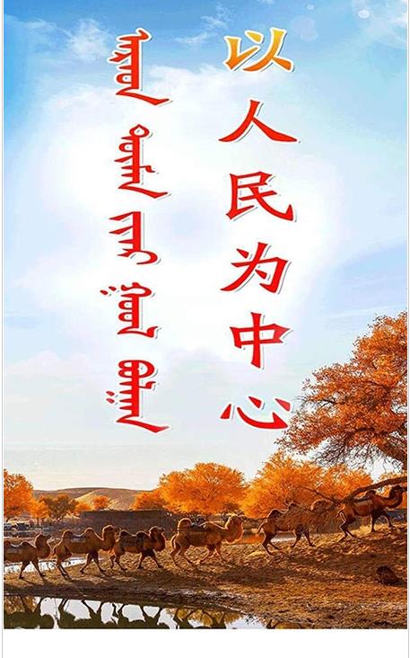 驼乡e站app官方版 2.1.4安卓版