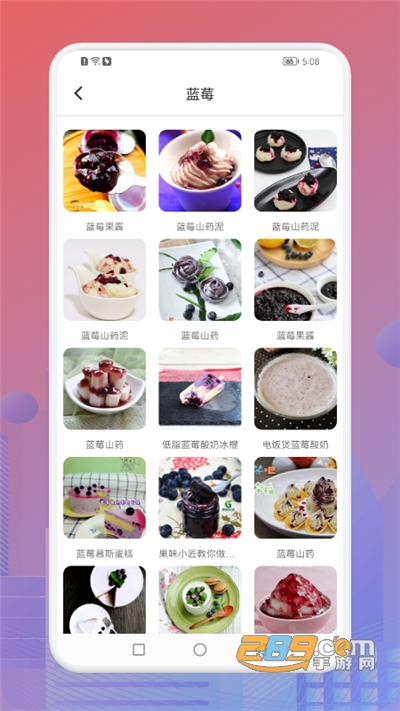 小卖部的蓝莓酱食谱appv1.1安卓版