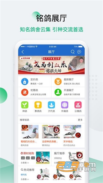 中国信鸽信息网APP手机版下载2022最新版v20220618安卓版