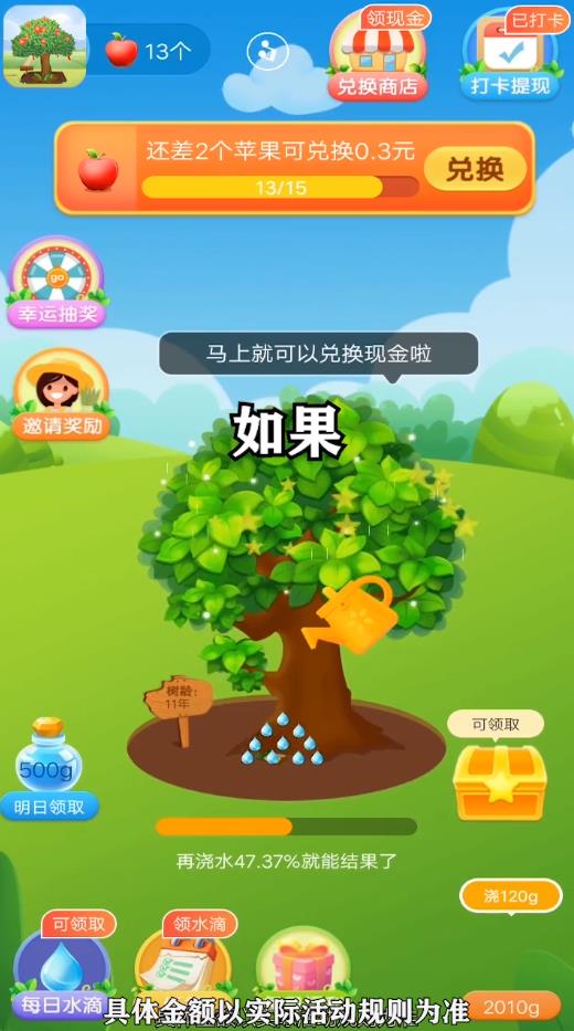 奇乐果园官方版 1.0.1安卓版