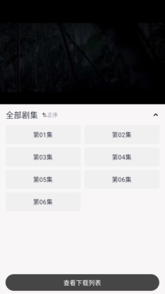 下载步骤2