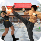 Real Superhero Kung Fu Fight Champion(真正的超级英雄功夫格斗冠军破解版) 3.42无限金币版