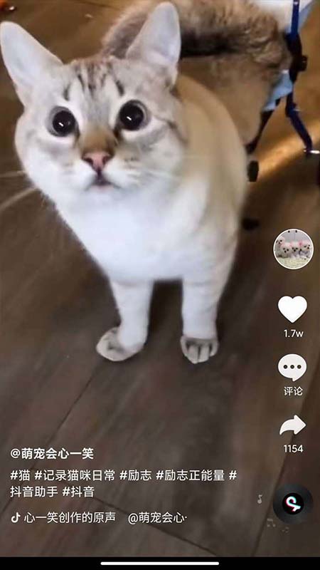 全民刷刷app 232.111最新版