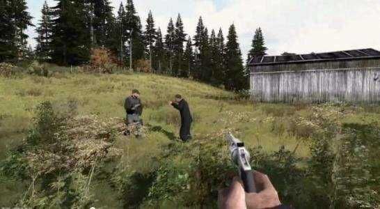 DAYZ手机版(DAYZ)