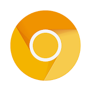 ChromeCanary安卓版下载2025最新版v136.0.7051.0最新安卓版