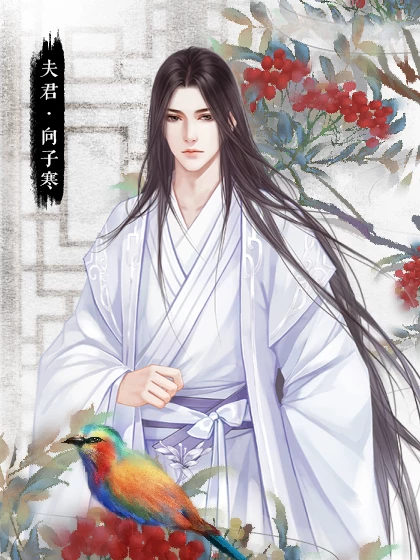 为妻为母橙光破解版清软 5.4最新版