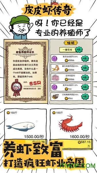 皮皮虾