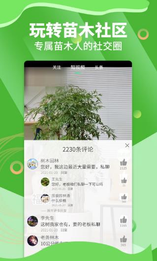 苗木通