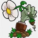 植物大战僵尸损版安装器
